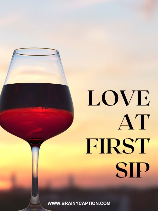 Instagram Captions For Drinking Wine- Love at first sip.