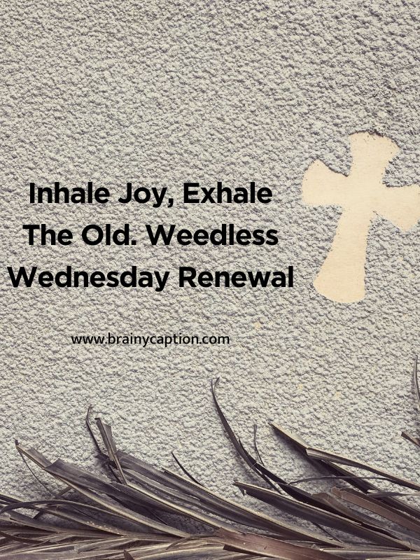 Embrace Wellness With Weedless Wednesday Quotes- Inhale Joy, Exhale The Old. Weedless Wednesday Renewal