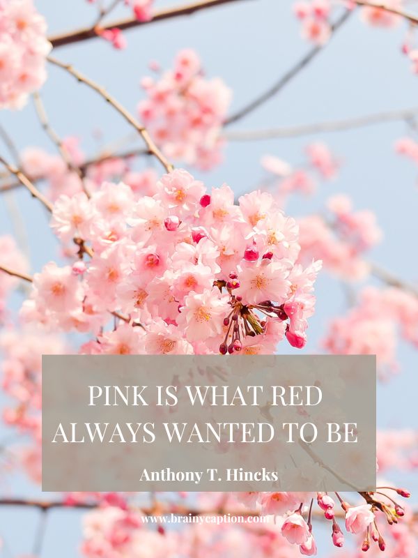 Pink Quotes About Everything- Pink is what red always wanted to be