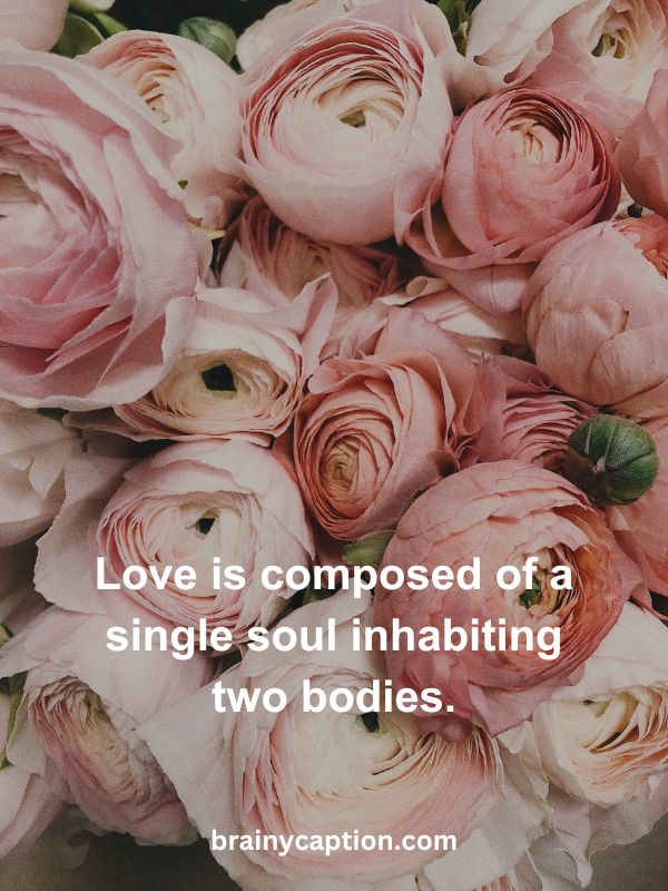 Happy Valentine's Day Quotes- Love is composed of a single soul inhabiting two bodies.